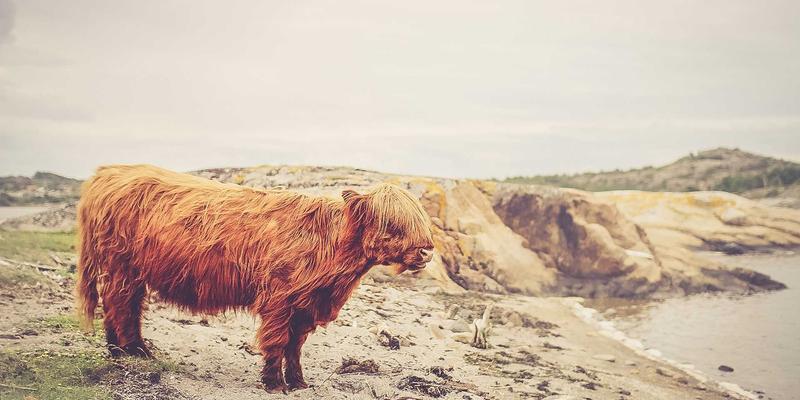 兰州车主必读:从购车指南到钥匙全攻略,智能钥匙增配、电池更换、失灵修复与专业解码店铺推荐