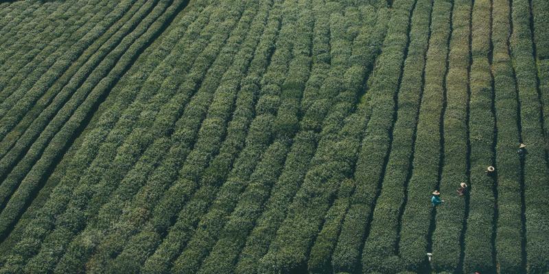 兰州车主必读:底盘装甲与护板安装全攻略,从必要性到门店选择的购车后第一课
